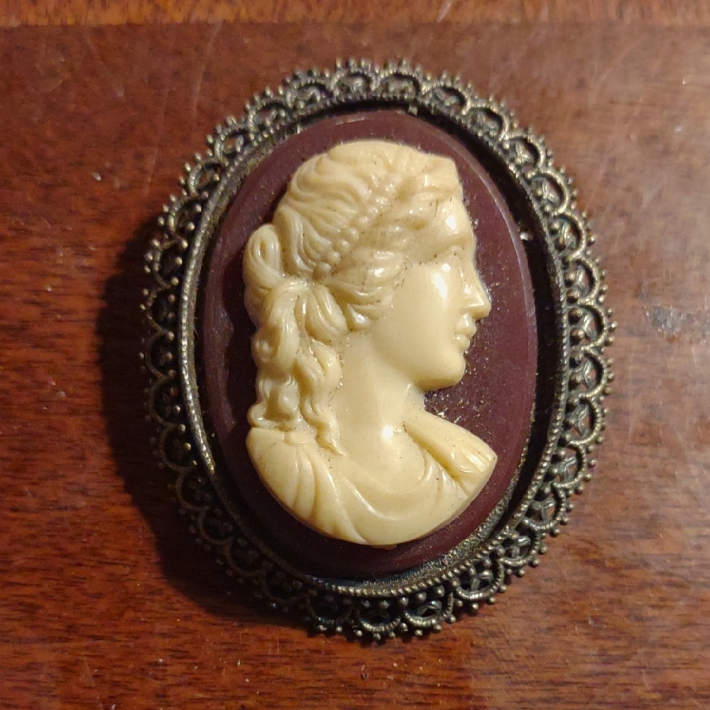 Vintage Cameo Brooch in Cream and Brown